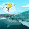 Crypto whales accumulate as bear market nears late stage: CryptoQuant