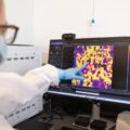 AI Models Built From Rat Brains Just Got Closer to Reality